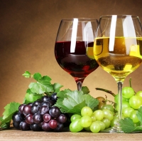Vyno ir sidro pramonė